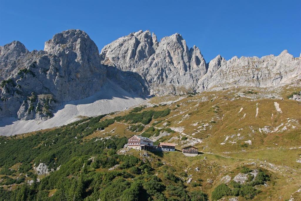 Ferienwohnungen Salvenmoser Johanna Scheffau am Wilden Kaiser Ngoại thất bức ảnh