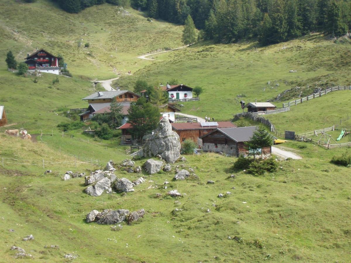Ferienwohnungen Salvenmoser Johanna Scheffau am Wilden Kaiser Ngoại thất bức ảnh