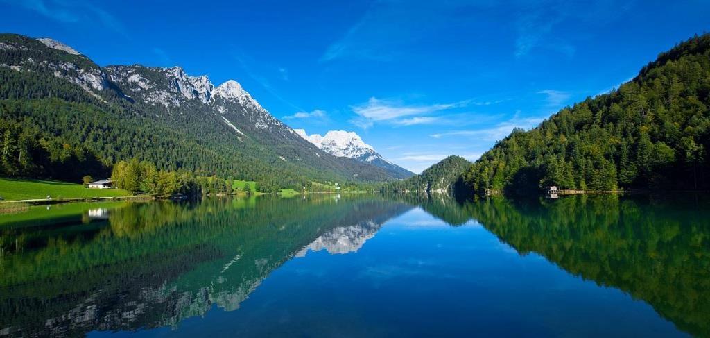 Ferienwohnungen Salvenmoser Johanna Scheffau am Wilden Kaiser Ngoại thất bức ảnh