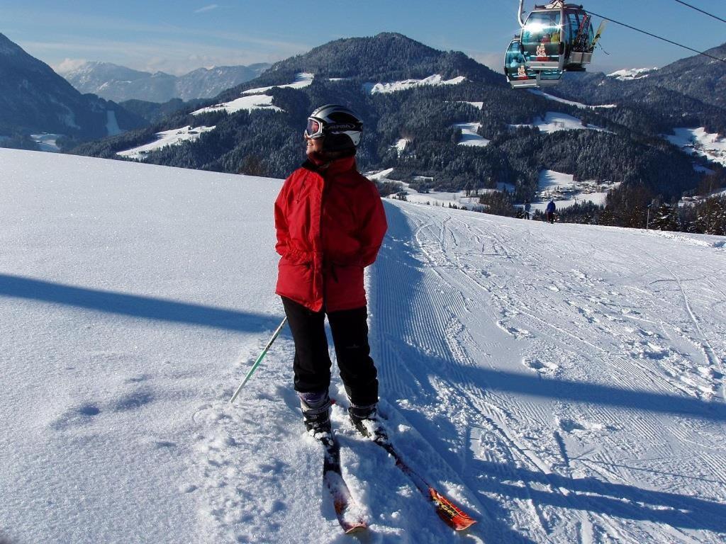 Ferienwohnungen Salvenmoser Johanna Scheffau am Wilden Kaiser Ngoại thất bức ảnh